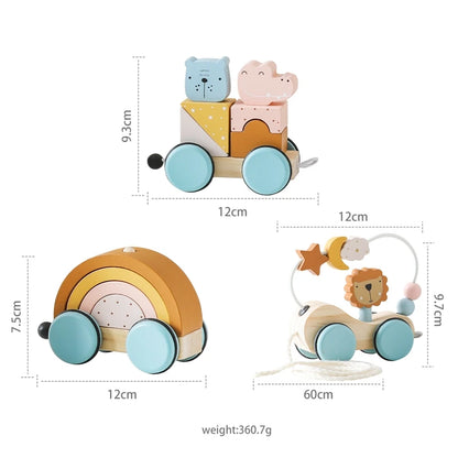 Montessori Wooden Rainbow Car Toy Set