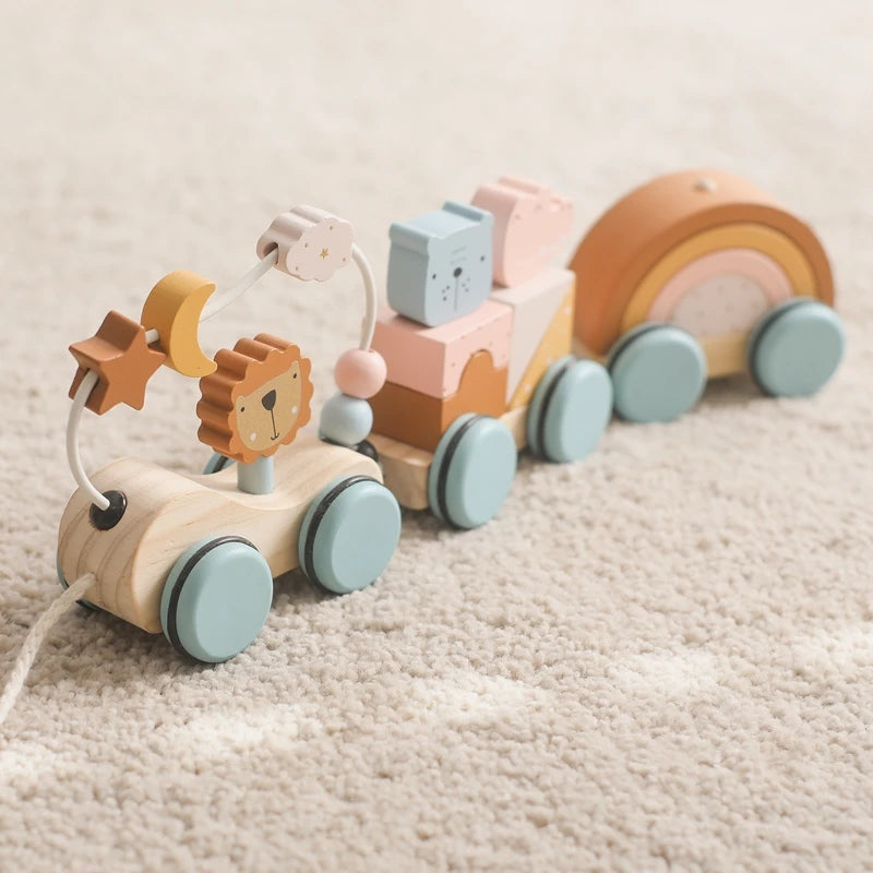 Montessori Wooden Rainbow Car Toy Set